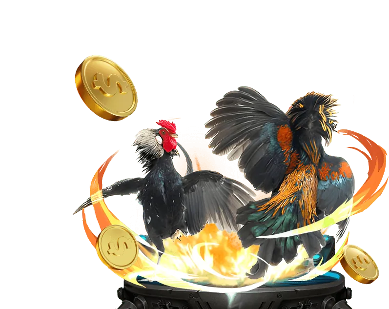 Phòng chống gian lận và lừa đảo trong đá gà trực tuyến